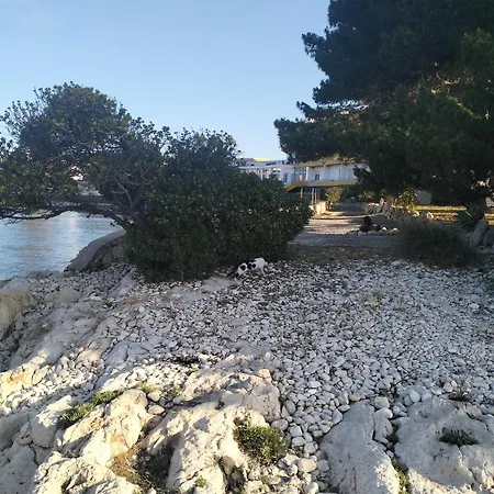Calamosca 3*
